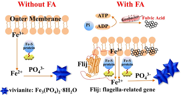 5_20201102150421.png 1.png