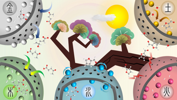 5_20210218105545.png 1.png