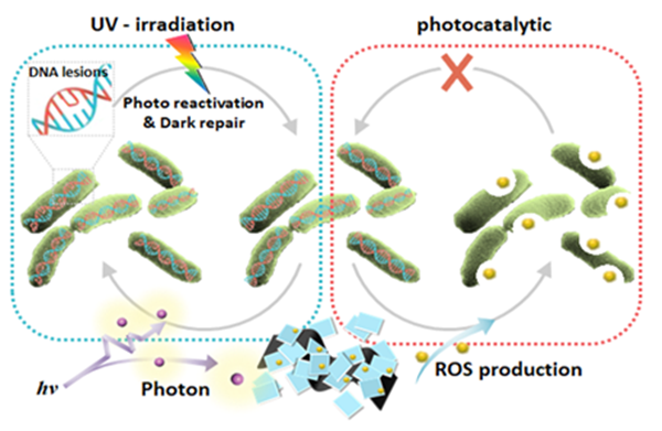 5_20200825230220.png 0825-2.png