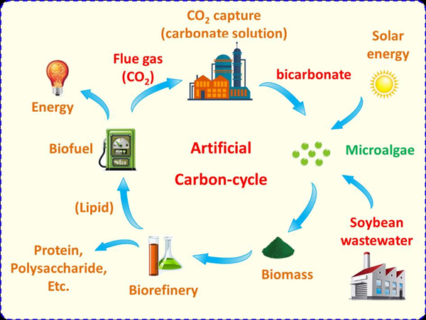 5_20190909155844.jpg 3.jpg