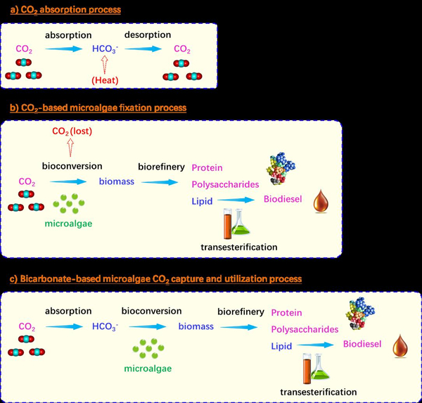 5_20190909155830.jpg 2.jpg
