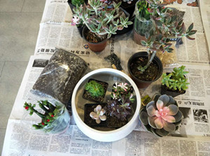 5_20190531124113.jpg 2.jpg