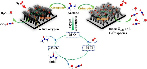 5_20200221132258.jpg 图片1.jpg